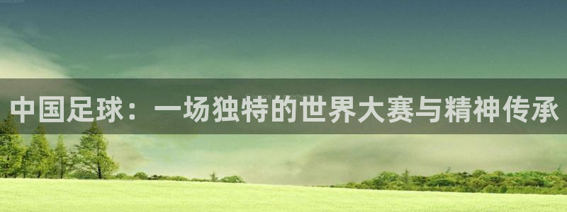 熊猫体育app下载：中国足球：一场独特的世界大赛与精神传承