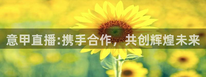 熊猫怎么直播：意甲直播:携手合作，共创辉煌未来