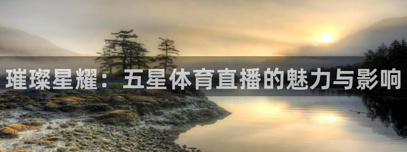 熊猫体育直播足球：璀璨星耀：五星体育直播的魅力与影响