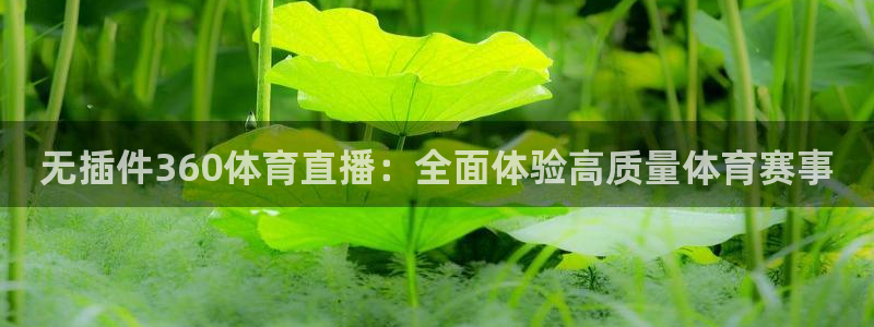 熊猫体育直播app：无插件360体育直播：全面体验高质量体育赛事