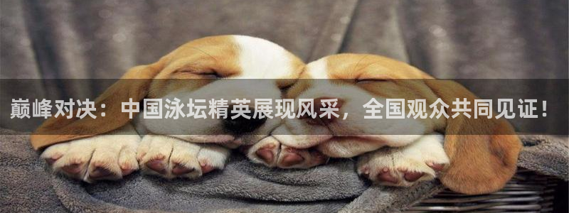 熊猫体育nba：巅峰对决：中国泳坛精英展现风采，全国观众共同见证！