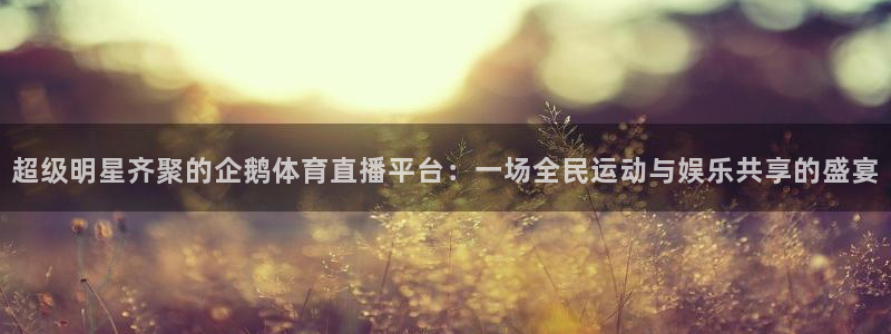 熊猫体育app下载：超级明星齐聚的企鹅体育直播平台：一场全民运动与娱乐共享的盛宴