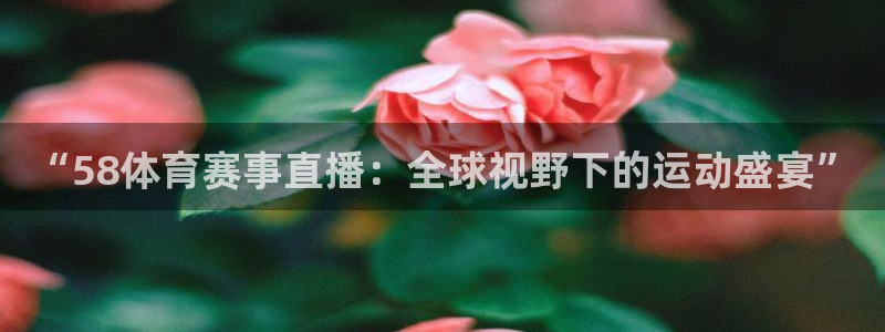 直播 熊猫：“58体育赛事直播：全球视野下的运动盛宴”