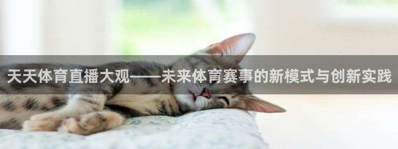 熊猫体育比赛直播：天天体育直播大观——未来体育赛事的新模式与创新实践
