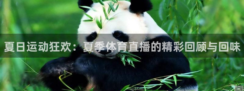直播:熊猫：夏日运动狂欢：夏季体育直播的精彩回顾与回味