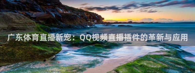 熊猫视频搞笑：广东体育直播新宠：QQ视频直播插件的革新与应用