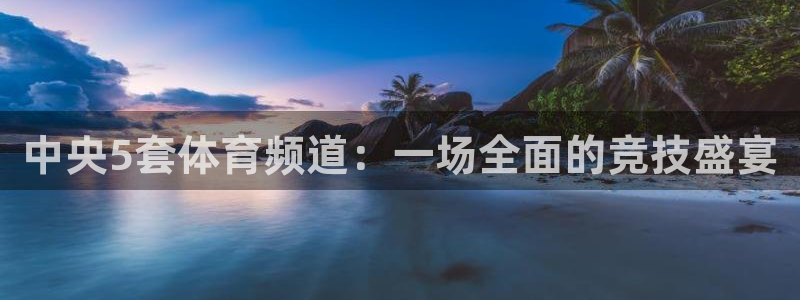 熊猫体育直播app下载：中央5套体育频道：一场全面的竞技盛宴
