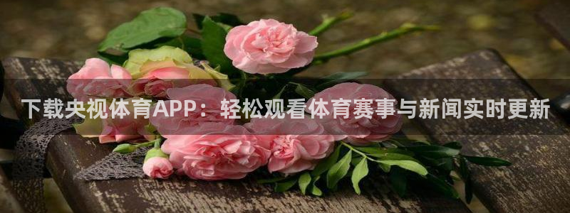 熊猫体育比赛直播：下载央视体育APP：轻松观看体育赛事与新闻实时更新